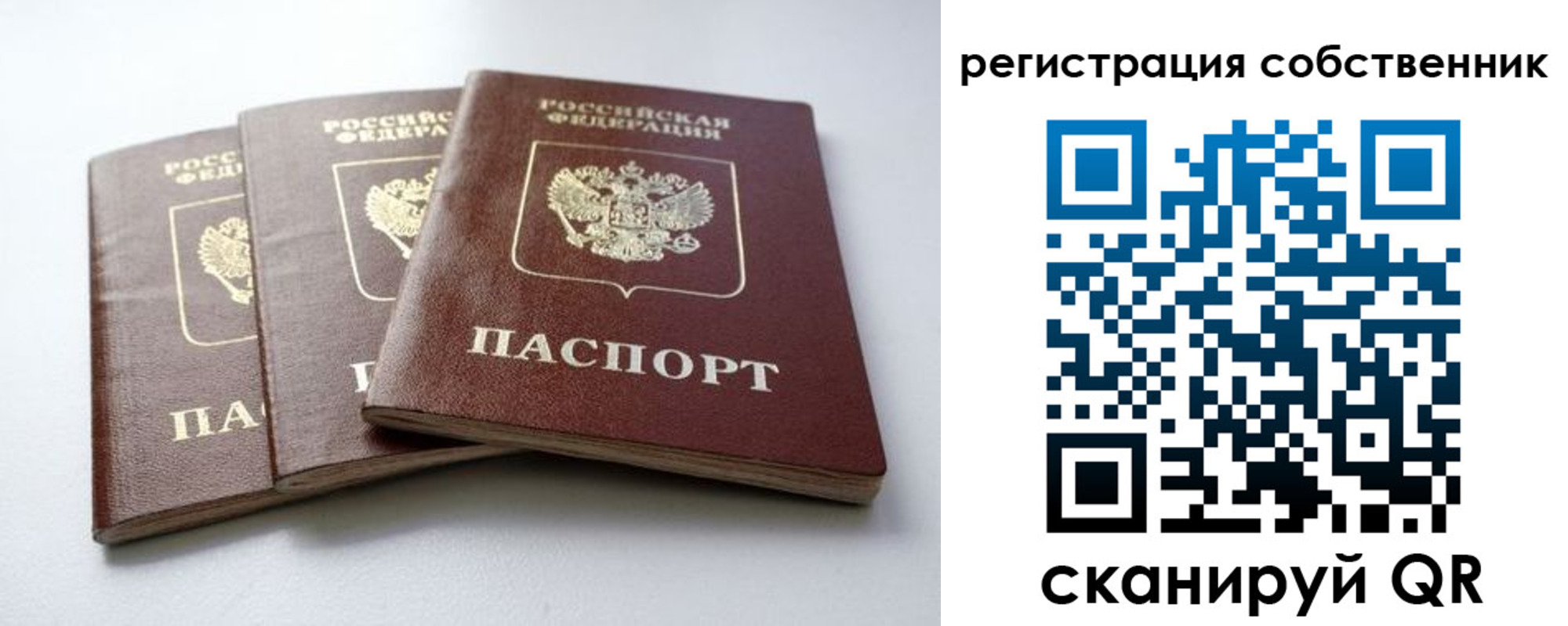 прописка для школы в Пикалёво